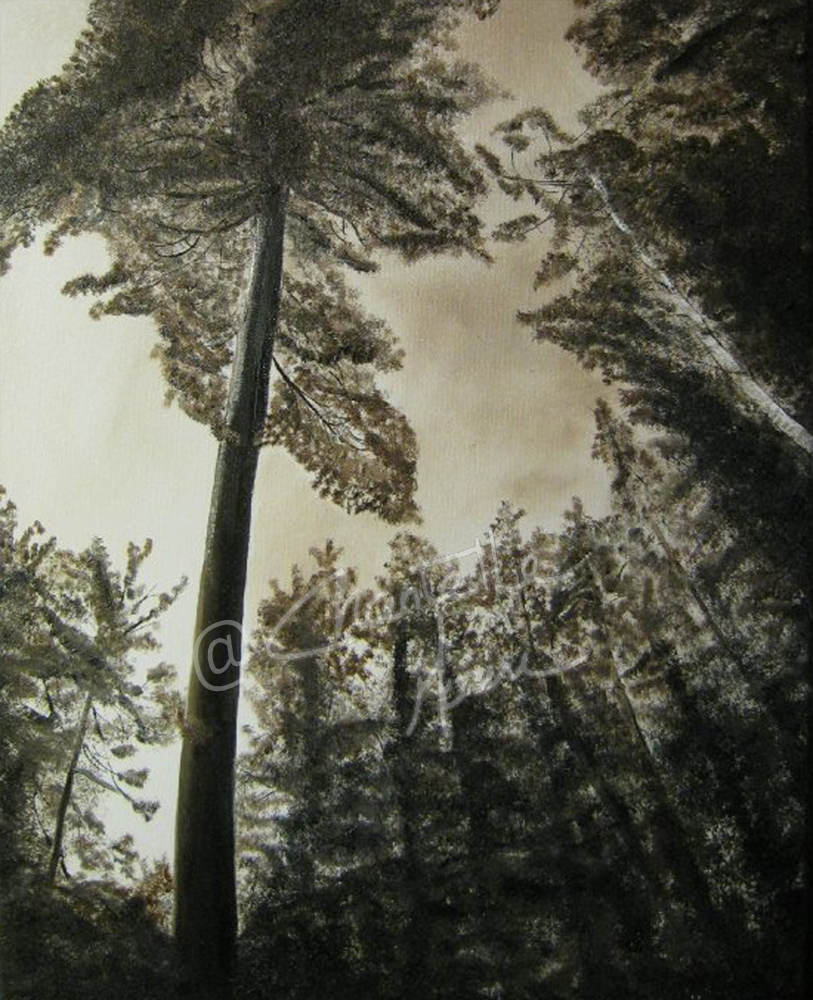 Whispers of the Canopy Original Oil on Canvas image 0