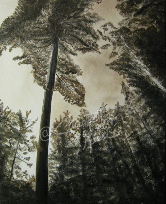 Whispers of the Canopy Original Oil on Canvas image 0
